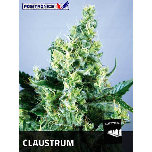 Claustrum 2.0 -  5 u. fem. Positronics Seeds
