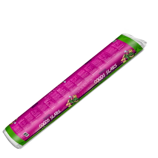 Cocos Slabs 12 lt. Atami B'cuzz