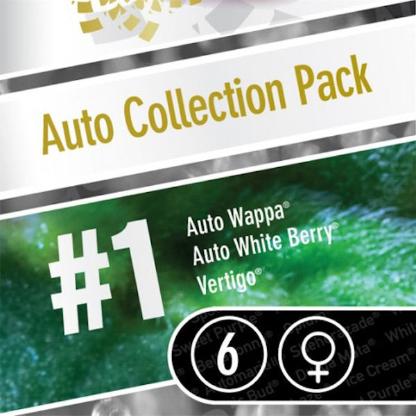 Collezione Auto Pack#1 - 6 pz. Paradise Seeds