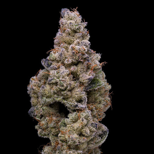 Crispy Sugar 3 u. fem Cookies Seed Bank