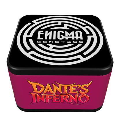 Dante's Inferno 6 u. fem Enigma Genetics