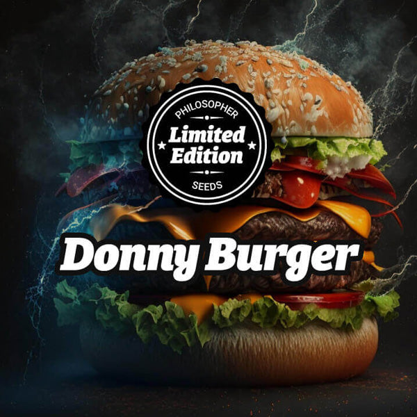 Donny Burger 5 u fem Special Edition Philosopher