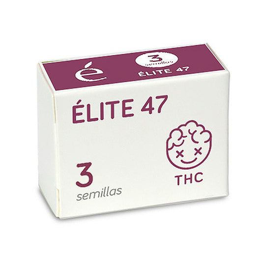 Elite 47 - 3 u. fem. Elite Seeds