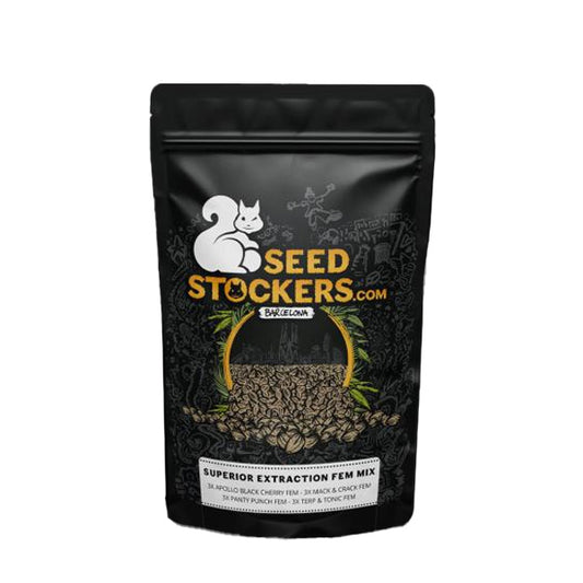 Extraction MIX 12 u. fem. Seedstockers Superior