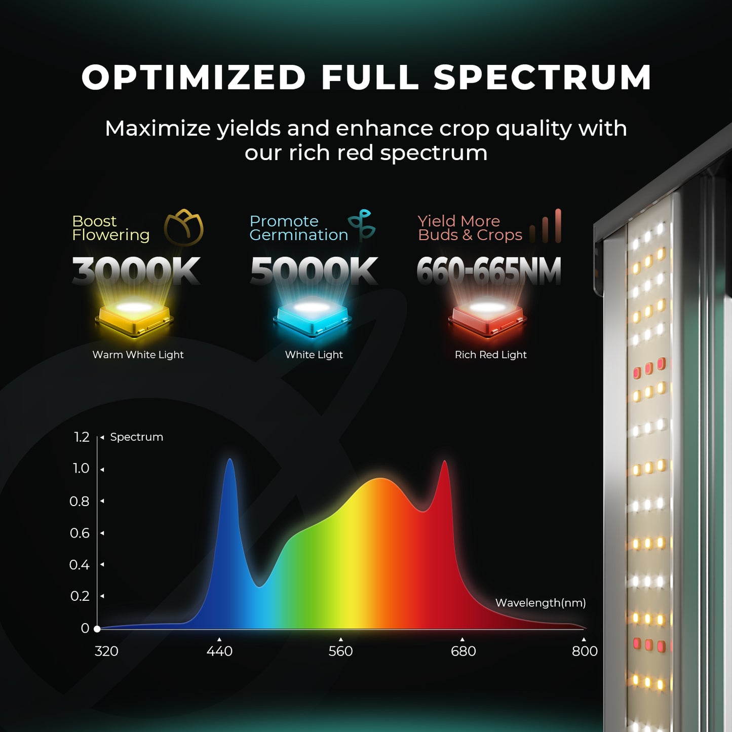 LED Mars Hydro FC 1500 Samsung EVO