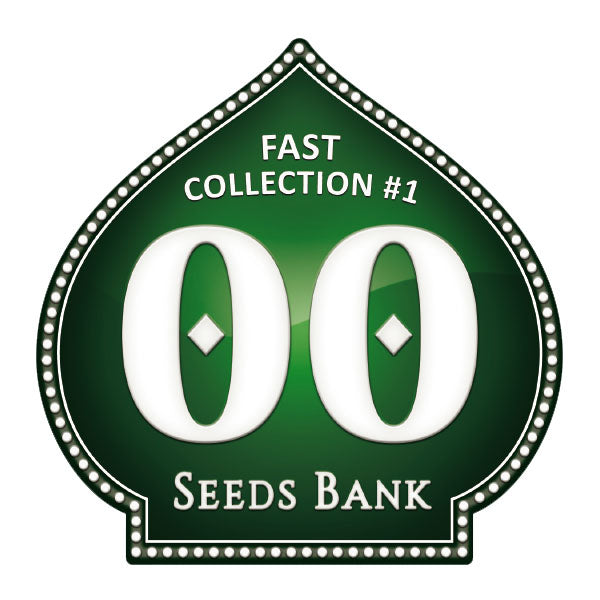 Fast Collection 1 - 00 Seeds
