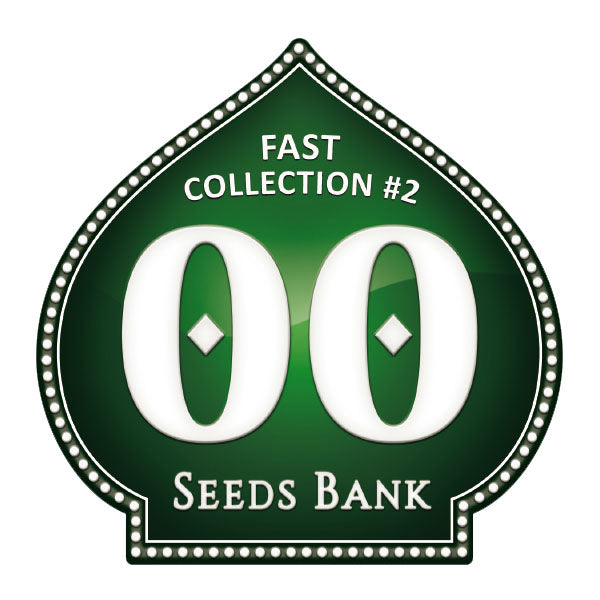 Fast Collection 2 - 00 Semi