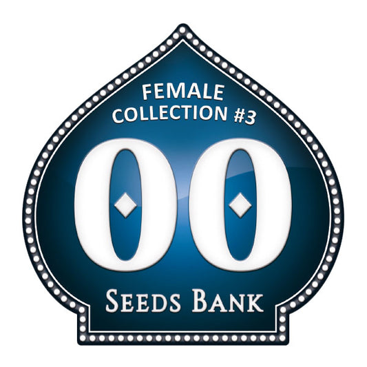 Female Collection 3 - 00 Seeds