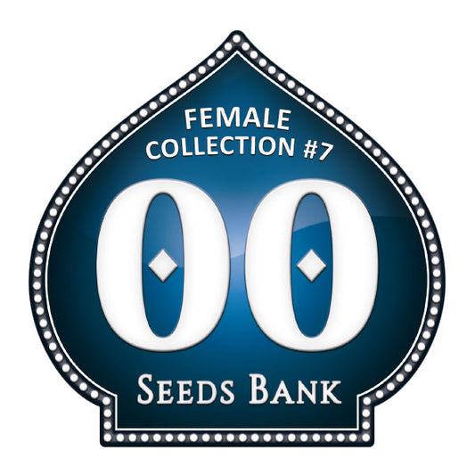 Female Collection 7 - 00 Seeds