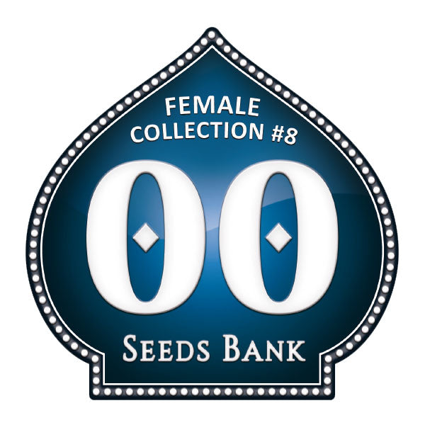 Collezione Femminile 8 - Semi 00