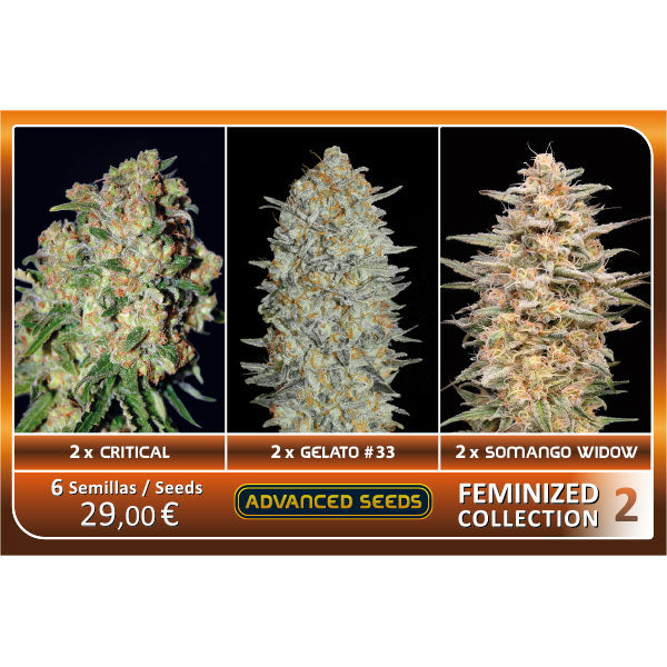 Collezione Femminizzata #2 Advanced Seeds