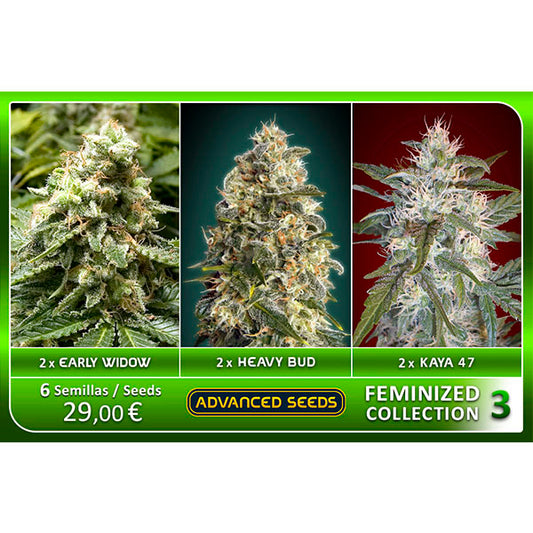 Feminized Collection  #3 Advanced Seeds