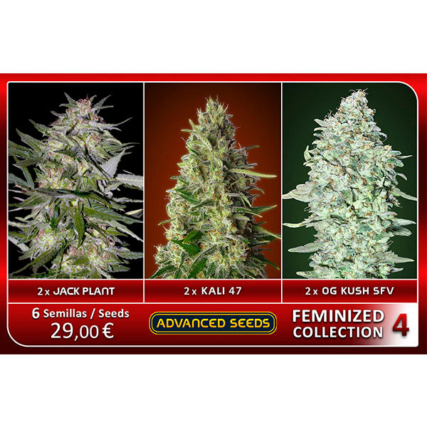 Feminized Collection  #4 Advanced Seeds