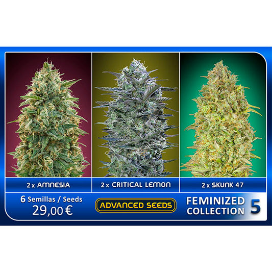 Feminized Collection  #5 Advanced Seeds