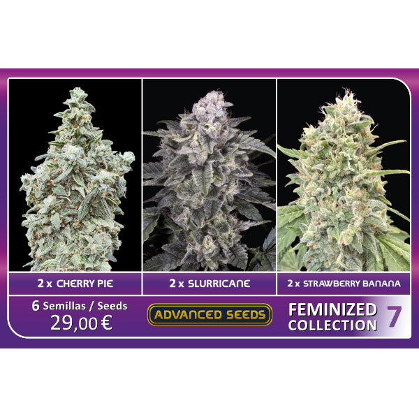 Feminized Collection  #7 Advanced Seeds