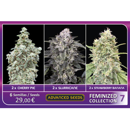 Feminized Collection  #7 Advanced Seeds