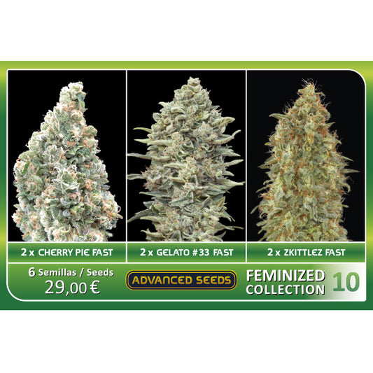 Feminized Collection #10 Advanced Seeds