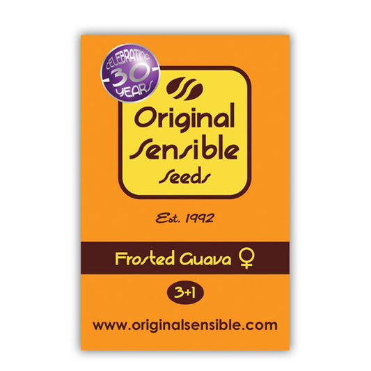 Frosted Guava 5 fem. seeds. Original Sensible