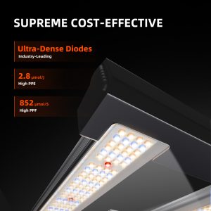Spider Farmer SF-G3000 LED 300W Bridgelux