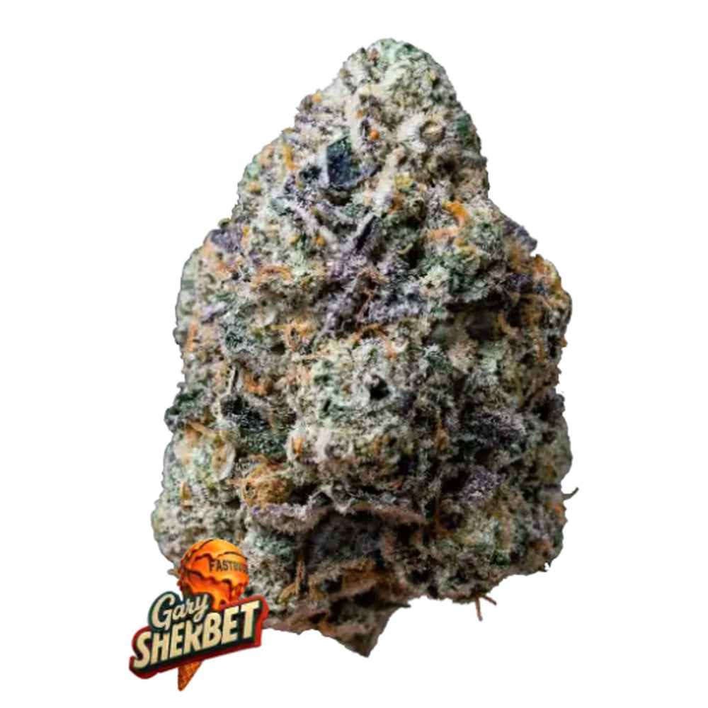 Gary Sherbet  3 u. fem. FastBuds Seeds