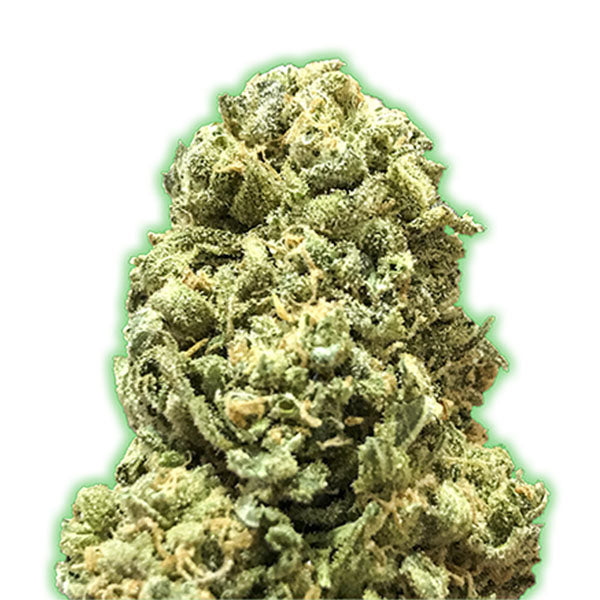 Girl Scout Cookies  3 u. fem. Monster Genetics