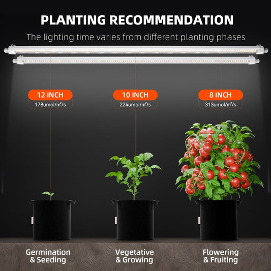 Spider Farmer SF-Glow80 LED 80W