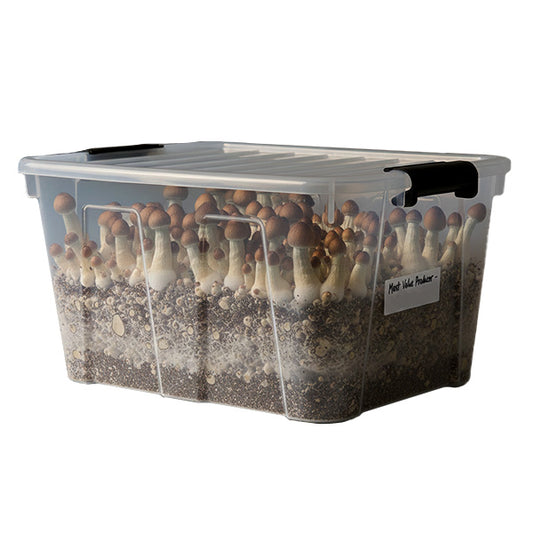 Grow Kit  Monotube Doble Most Value Producer