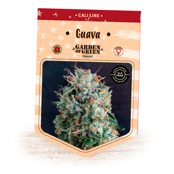 Guava  5 u. fem. Garden of Green Seeds