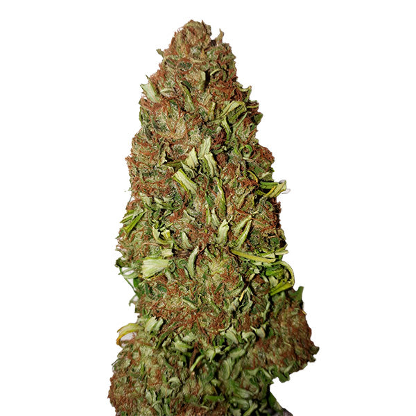 Harlequin (0,4/20) 25 u. fem. CBD+ Buds