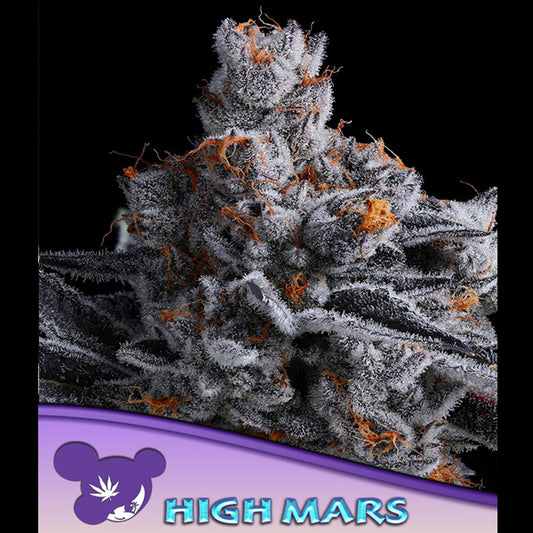High Mars  3 u. fem Anesia