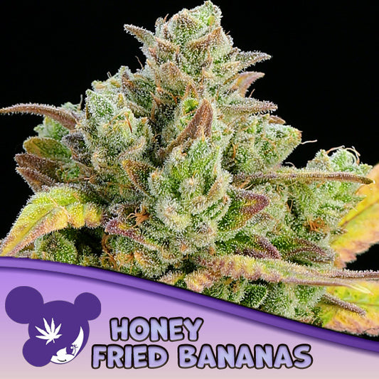Honey Fried Bananas 10 u. fem Anesia