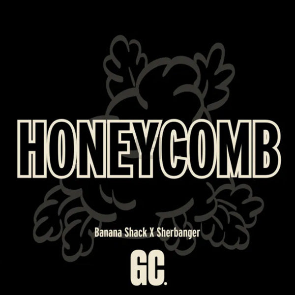 Honeycomb 6 u. fem  Grand Cru Genetics