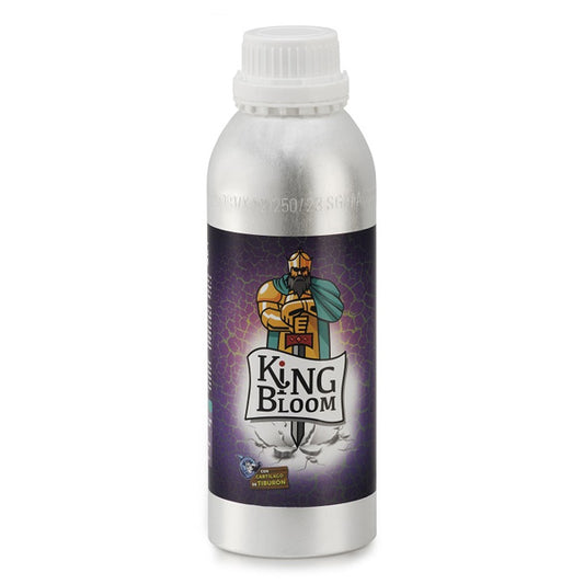 King Bloom 1.2 lt. Trabe