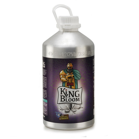 King Bloom 5.5 lt. Trabe