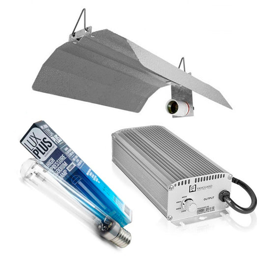 600W Vanguard Electronic Lux Kit
