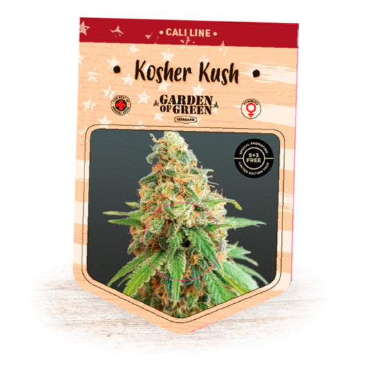 Kosher Kush 15 pz. fem. Garden of Green Seeds