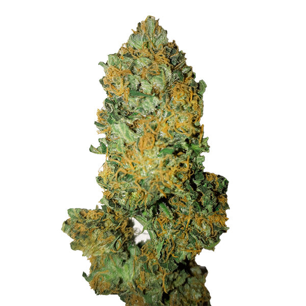 Lemon Diesel (0.4/18) 1 unit fem. CBD+ Buds