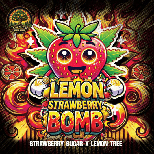 Lemon Strawberry Bomb 3 ud. fem Elev8 Seeds