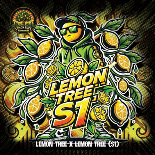 Lemon Tree S1 - 6 ud. fem Elev8 Seeds