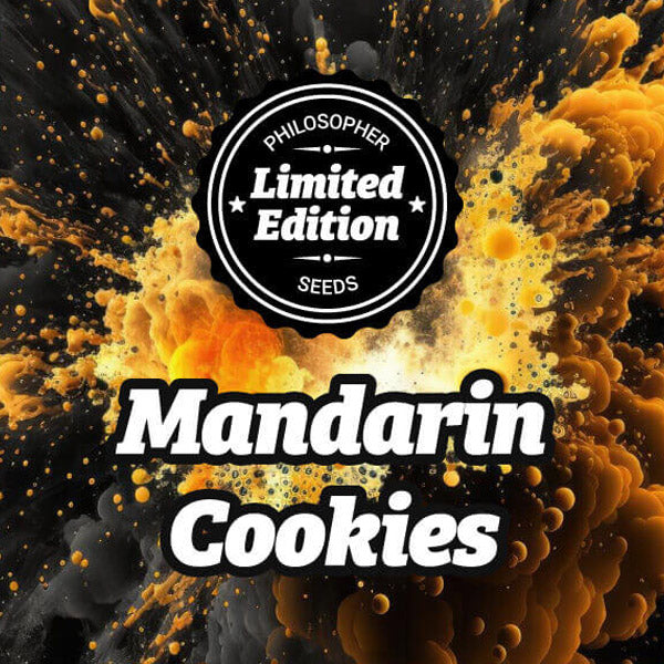 Mandarin Cookies 5 u fem Philosopher
