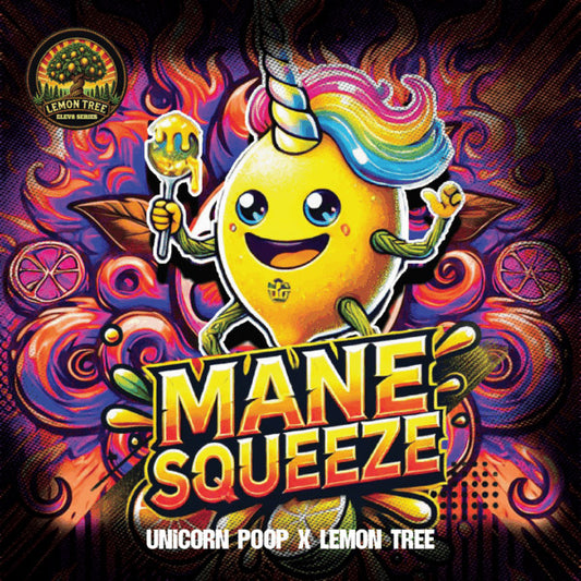 Mane Squeeze 6 ud. fem Elev8 Seeds