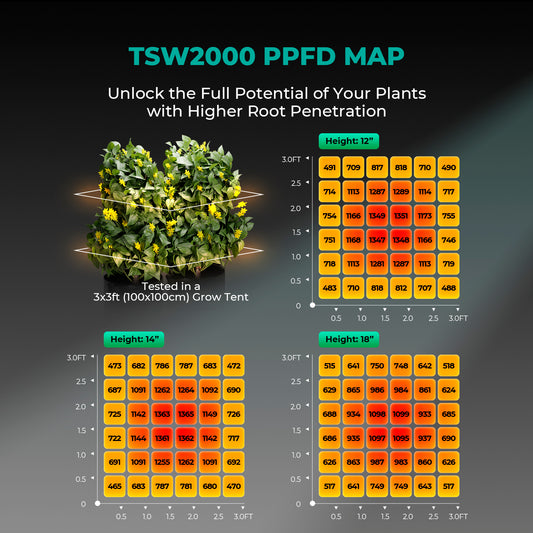 LED Mars Hydro TSW 2000