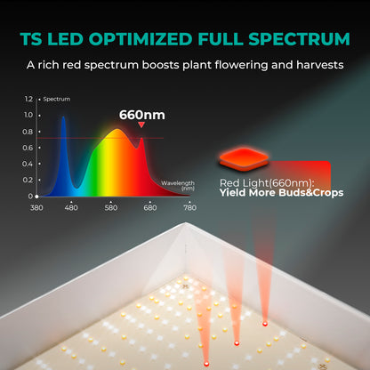 LED Mars Hydro TS 1000