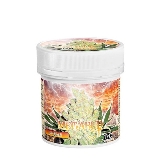 Megabud 100 gr. THC