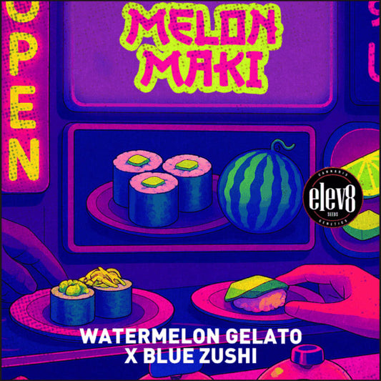 Melon Maki 6 ud. fem Elev8 Seeds