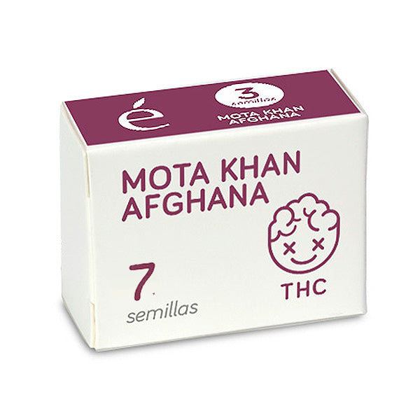 Mota Khan Afghana 7 un. fem. Elite Seeds