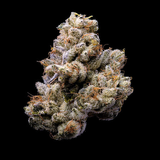 Orange Cake 6 u. fem Cookies Seed Bank