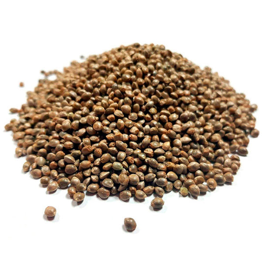 Orange Sherbert Granel 100 ud.