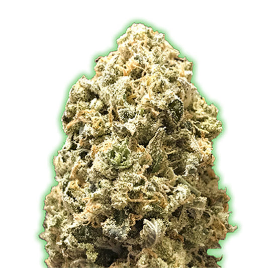 Pebbles 5 u. fem. Monster Genetics
