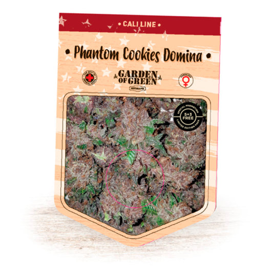 Phantom Cookie Domina 5 u. fem. Garden of Green Seeds
